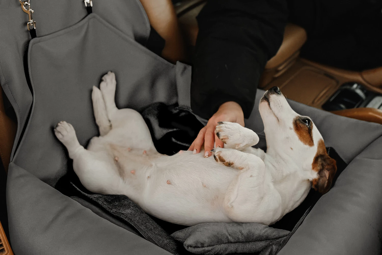 Subaru Crosstrek Dog Car Seat for Italian Greyhounds