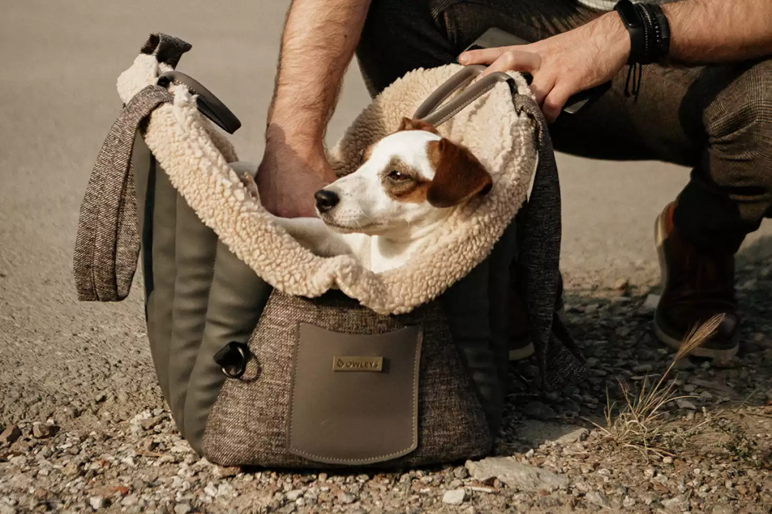 German Hunting Terrier Dog Carrier Car Seat for Chevrolet Equinox