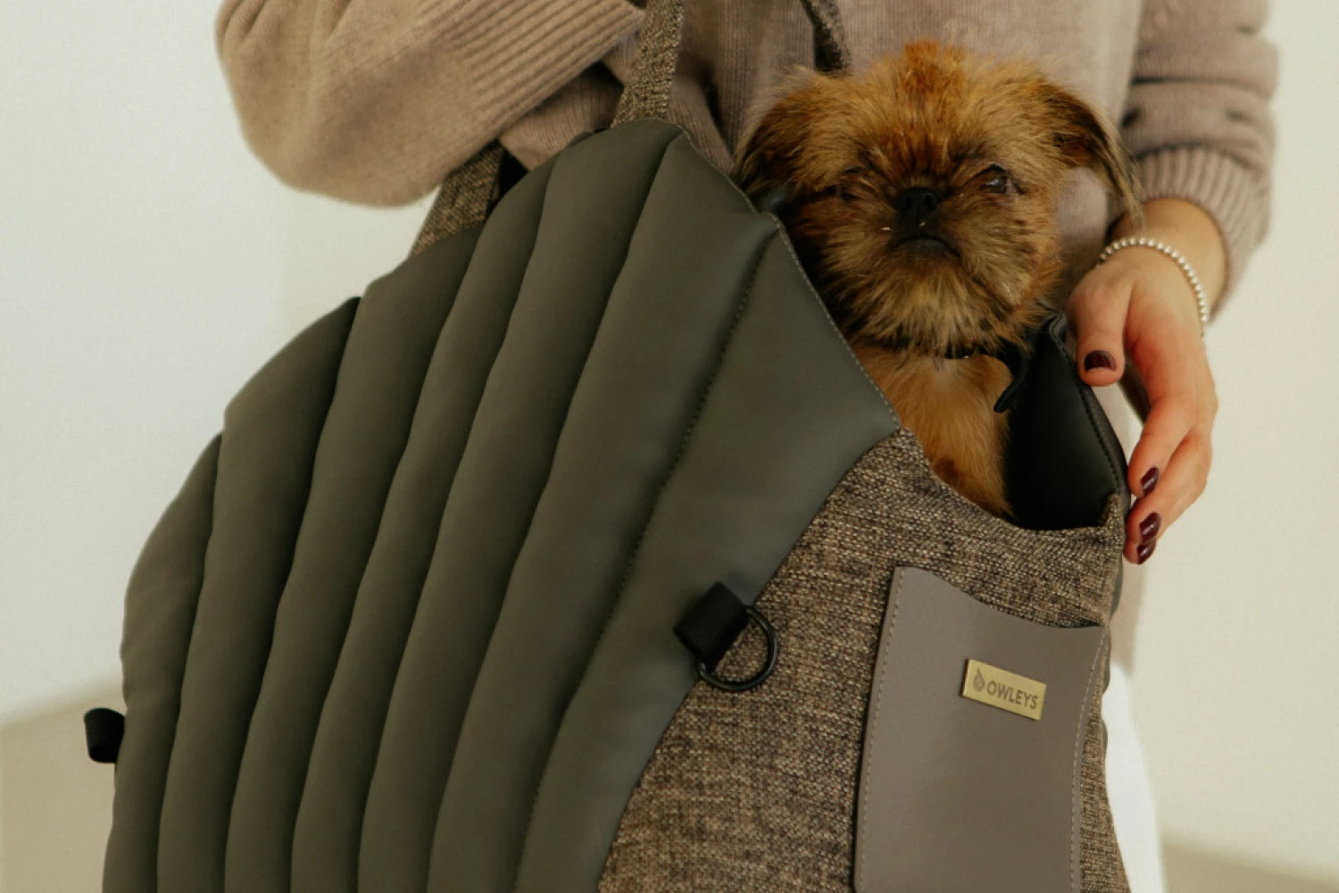 German Hunting Terrier Dog Carrier Car Seat for Chevrolet Equinox