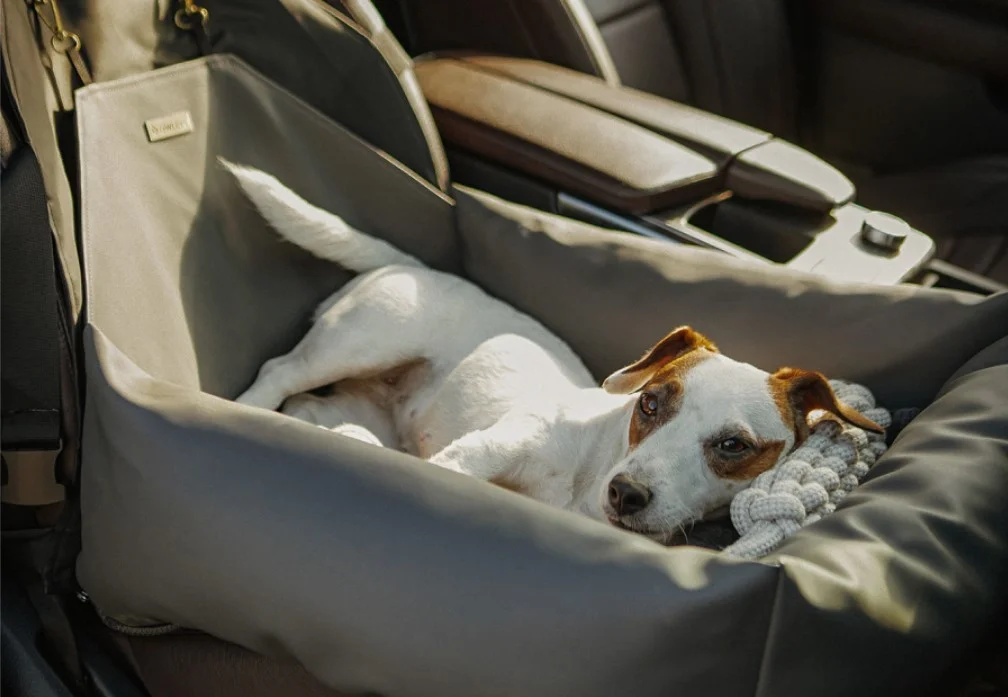 Subaru Crosstrek Dog Car Seat for Italian Greyhounds